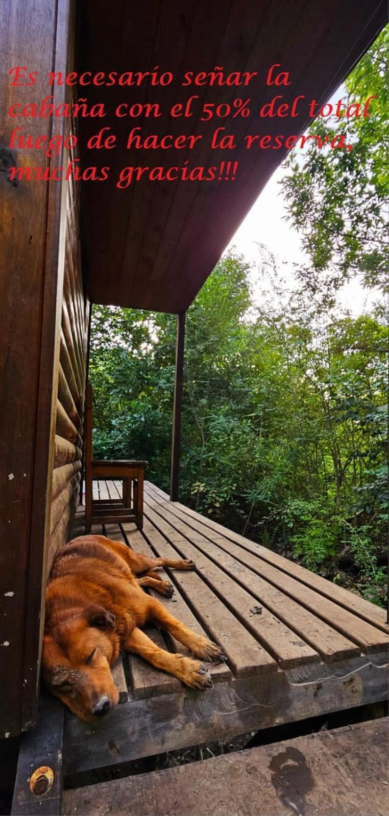Cipreses Holiday home *